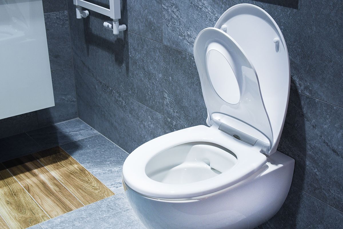 Harmony Soft Close Quick Release Toilet Seat AWD02181391 